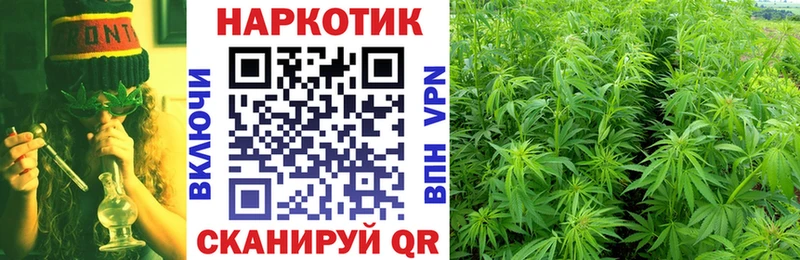 Сколько стоит Дятьково COCAIN Псилоцибиновые грибы Гашиш Альфа ПВП Бошки Шишки МЕФ