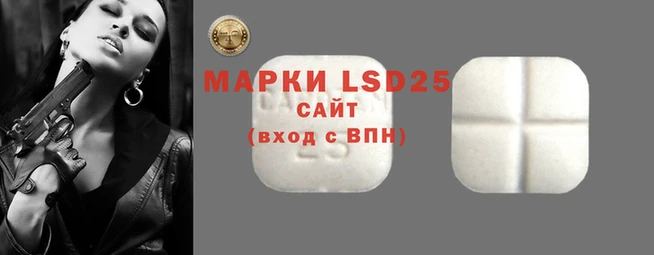стафф Богданович