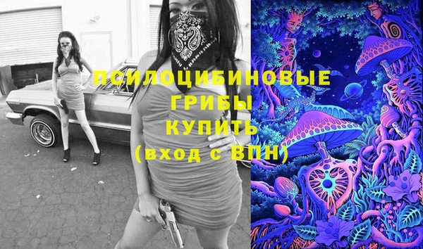 мескалин Бородино