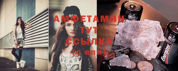 стафф Богданович