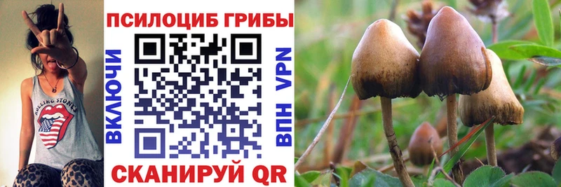 как найти закладки  гидра вход  Псилоцибиновые грибы GOLDEN TEACHER  Дятьково 