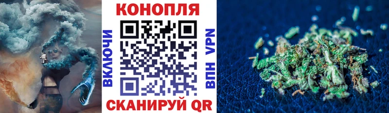 где купить   Дятьково  Марихуана индика 
